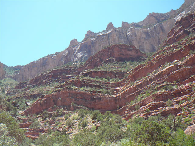 images/A-Mule Ride- returning to the Rim (6).jpg